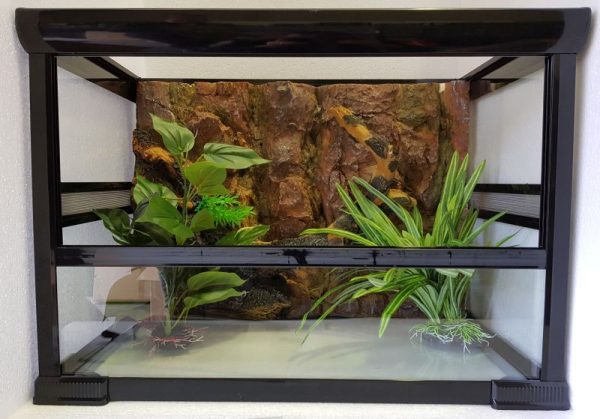 Lizard Enclosure - Glass Terrarium 60x38x43 – Family Pet Supplies