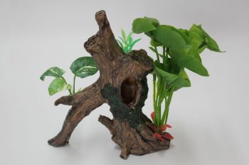 Planted Driftwood