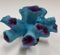 blue coral