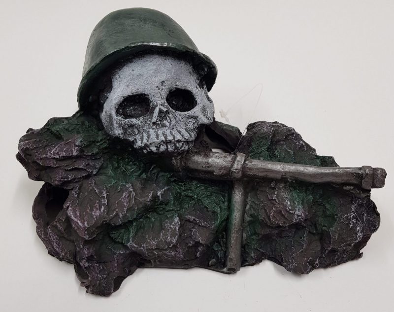 skull and gun