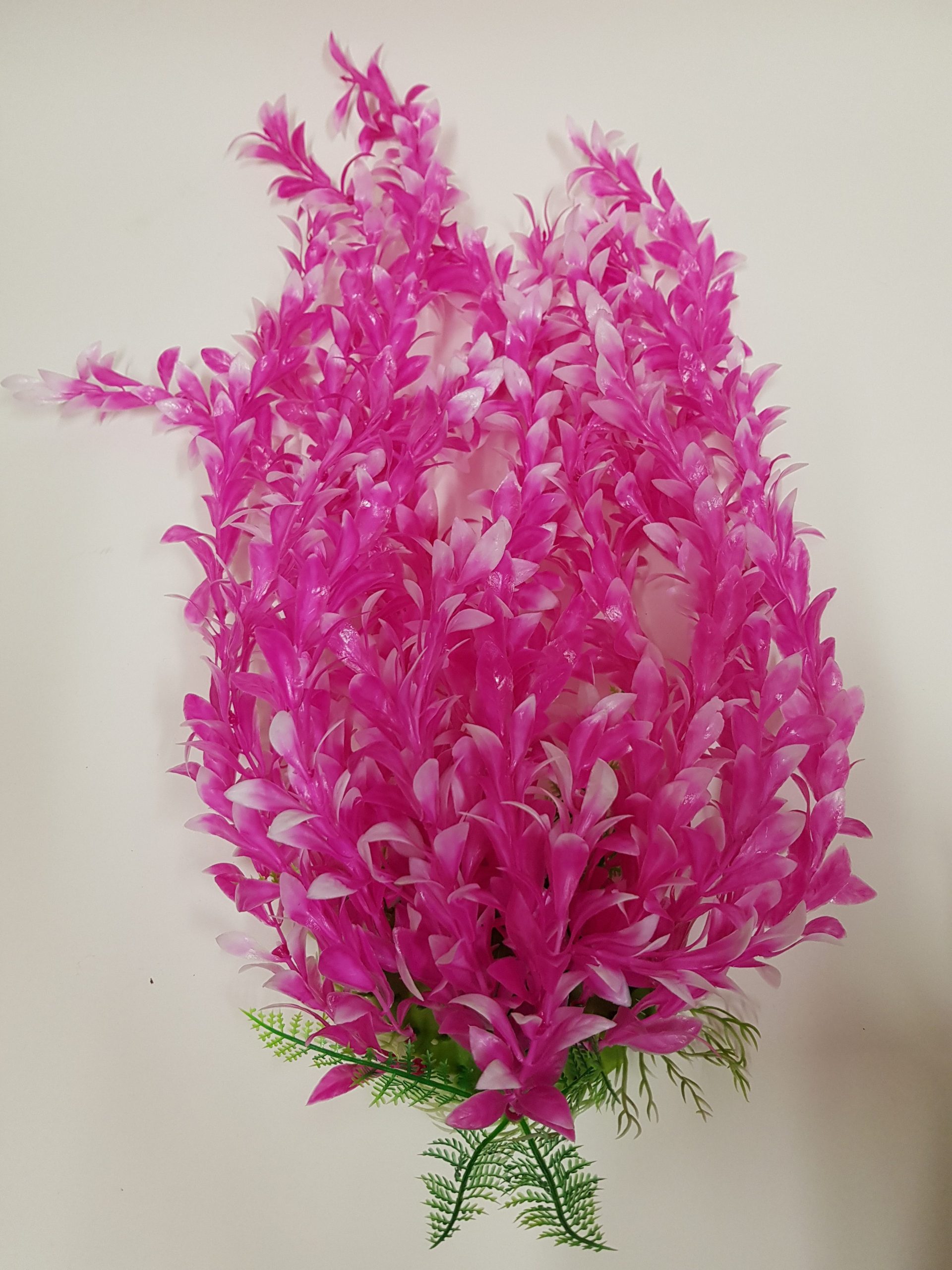 Pink Bushy Plant – Family Pet Supplies